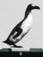 /album/hagamos-algo/alca-o-pinguino-gigante-jpg1/